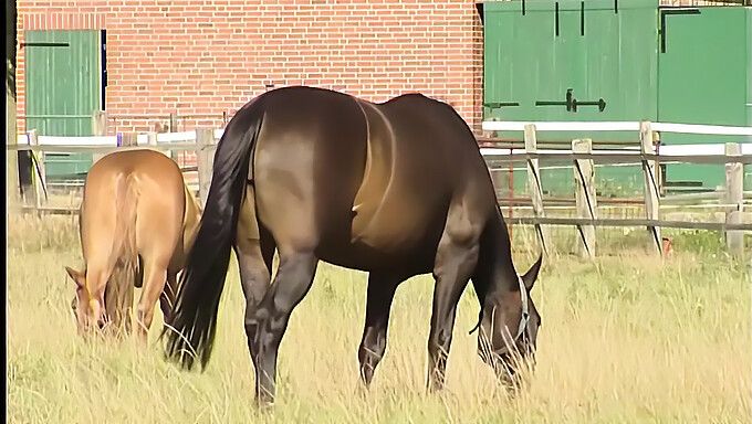 Jeune Allemande Aux Seins Naturels Profite D'Un Jeu En Solo En Plein Air